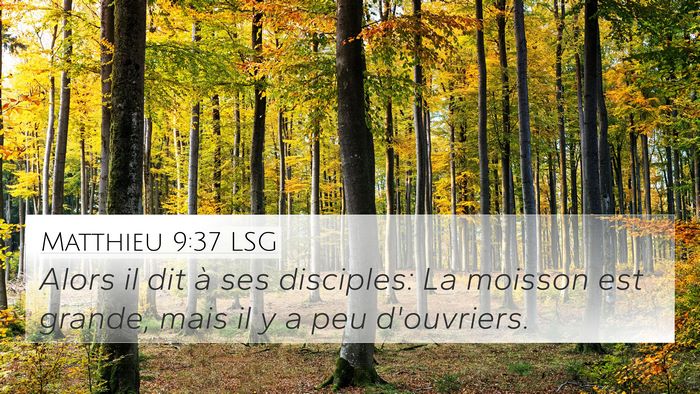 Matthieu 9:37 LSG Bible Verse Image
