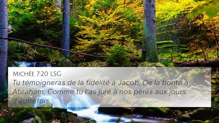 Michée 7:20 LSG Bible Verse Image