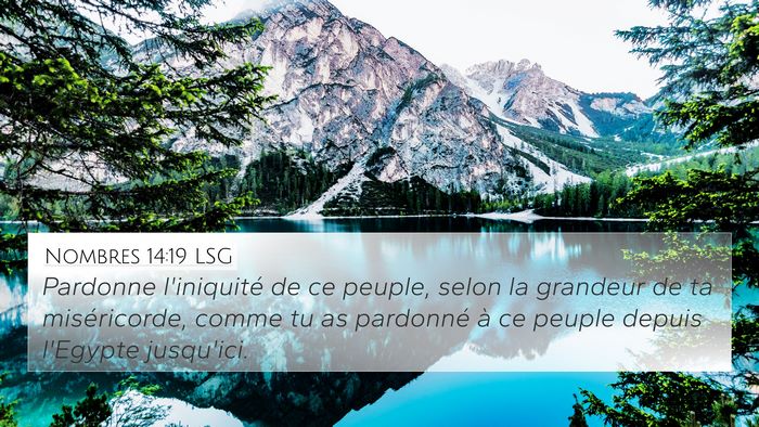 Nombres 14:19 LSG Bible Verse Image