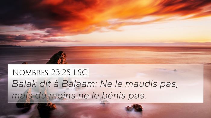 Nombres 23:25 LSG Bible Verse Image