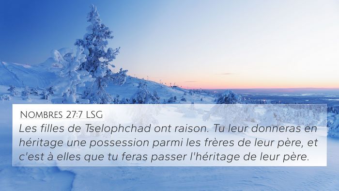 Nombres 27:7 LSG Bible Verse Image