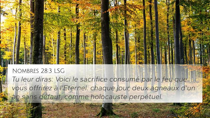 Nombres 28:3 LSG Bible Verse Image