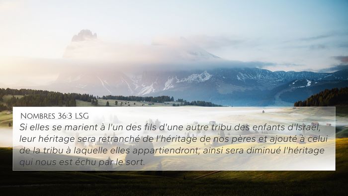 Nombres 36:3 LSG 4K Wallpaper - Si elles se marient à l'un des fils d'une autre - 4K Wallpaper Bible Verse