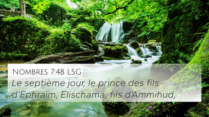 Nombres 7:48 LSG Bible Verse Image
