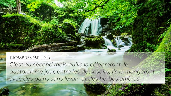 Nombres 9:11 LSG Bible Verse Image