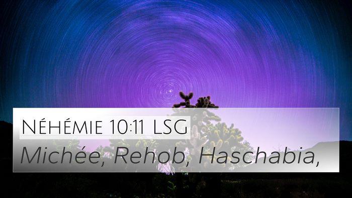 Néhémie 10:11 LSG 4K Wallpaper - Michée, Rehob, - 4K Wallpaper Bible Verse