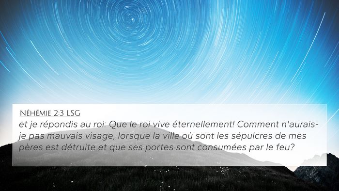 Néhémie 2:3 LSG Bible Verse Image