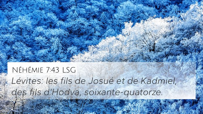 Néhémie 7:43 LSG Bible Verse Image