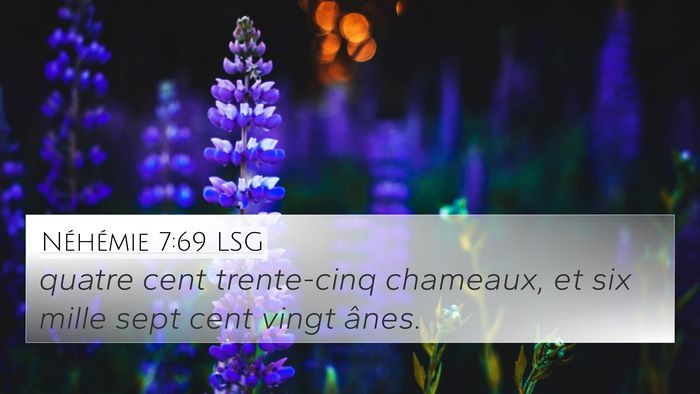 Néhémie 7:69 LSG 4K Wallpaper - quatre cent trente-cinq chameaux, et six mille - 4K Wallpaper Bible Verse