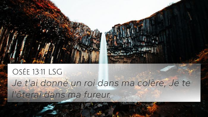 Osée 13:11 LSG Bible Verse Image