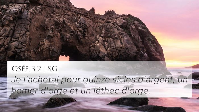 Osée 3:2 LSG 4K Wallpaper - Je l'achetai pour quinze sicles d'argent, un - 4K Wallpaper Bible Verse