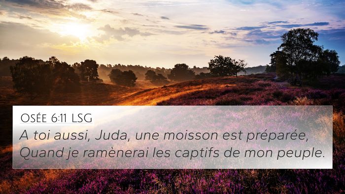Osée 6:11 LSG Bible Verse Image