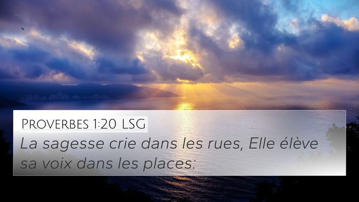 Proverbes 1:20 LSG Bible Verse Image