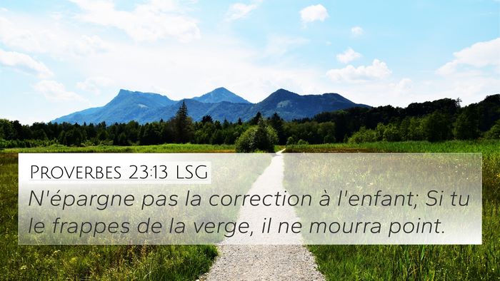 Proverbes 23:13 LSG Bible Verse Image