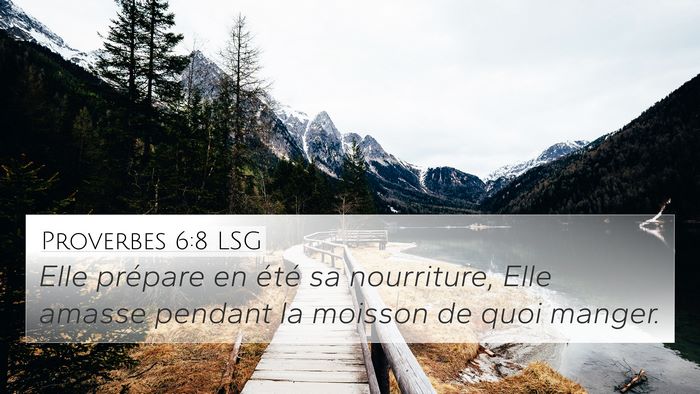 Proverbes 6:8 LSG Bible Verse Image