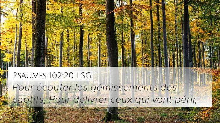 Psaumes 102:20 LSG Bible Verse Image