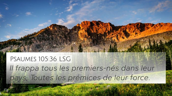 Psaumes 105:36 LSG Bible Verse Image
