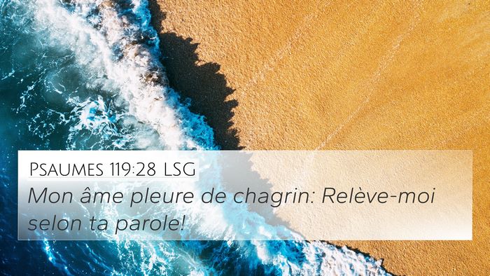 Psaumes 119:28 LSG 4K Wallpaper - Mon âme pleure de chagrin: Relève-moi selon ta - 4K Wallpaper Bible Verse