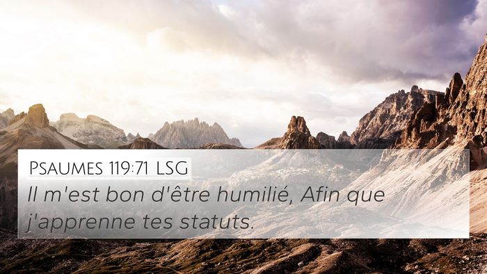 Psaumes 119:71 LSG Bible Verse Image
