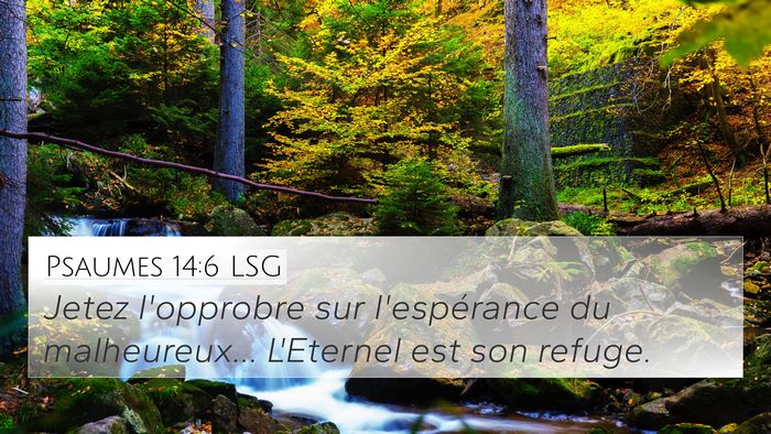 Psaumes 14:6 LSG 4K Wallpaper - Jetez l'opprobre sur l'espérance du - 4K Wallpaper Bible Verse
