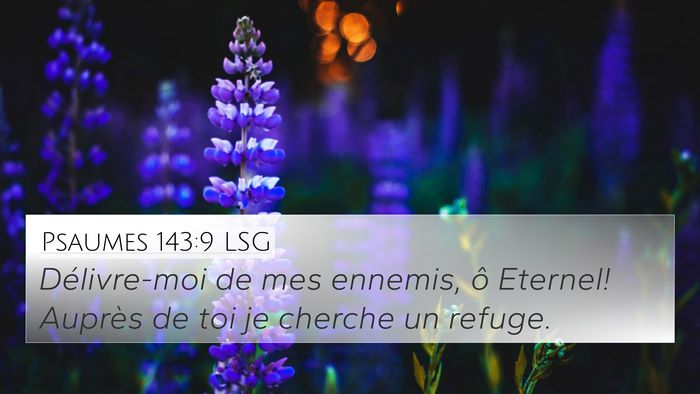 Psaumes 143:9 LSG Bible Verse Image
