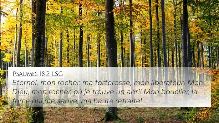 Psaumes 18:2 LSG Bible Verse Image