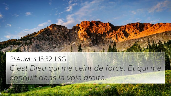 Psaumes 18:32 LSG Bible Verse Image