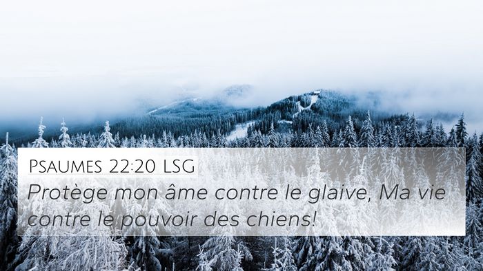 Psaumes 22:20 LSG Bible Verse Image
