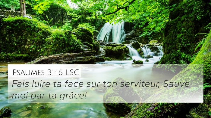 Psaumes 31:16 LSG Bible Verse Image