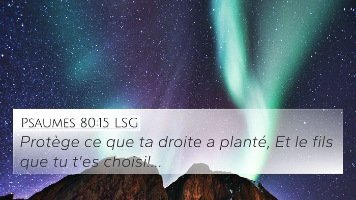 Psaumes 80:15 LSG 4K Wallpaper - Protège ce que ta droite a planté, Et le fils - 4K Wallpaper Bible Verse