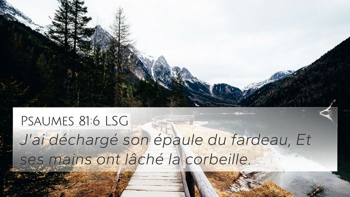 Psaumes 81:6 LSG 4K Wallpaper - J'ai déchargé son épaule du fardeau, Et ses - 4K Wallpaper Bible Verse