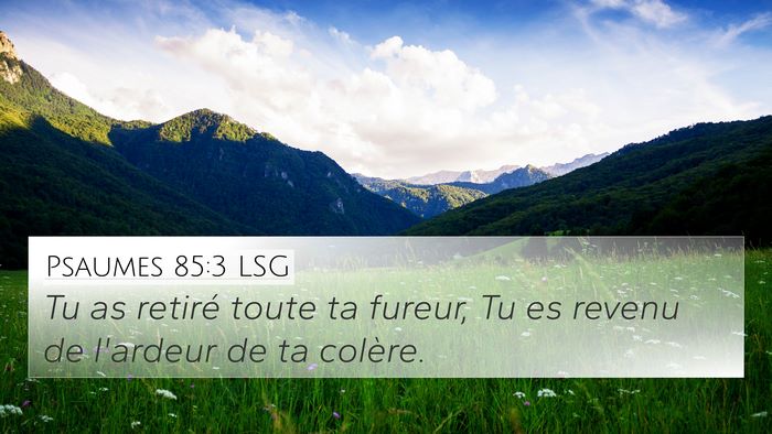 Psaumes 85:3 LSG 4K Wallpaper - Tu as retiré toute ta fureur, Tu es revenu de - 4K Wallpaper Bible Verse