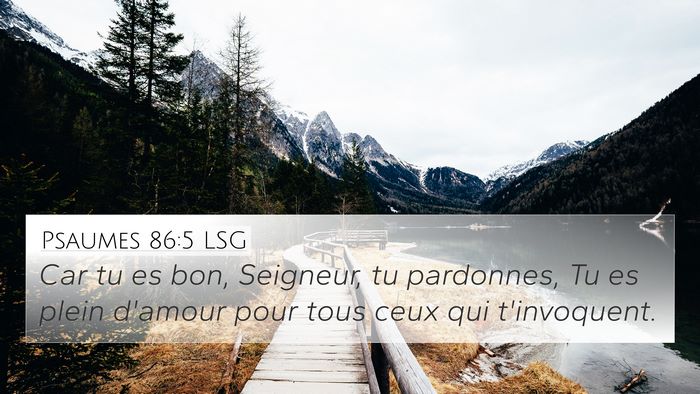 Psaumes 86:5 LSG Bible Verse Image