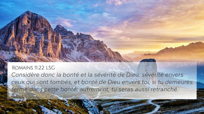 Romains 11:22 LSG Bible Verse Image