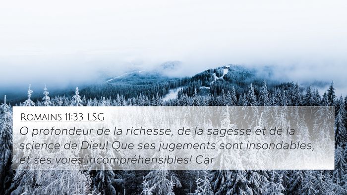 Romains 11:33 LSG Bible Verse Image