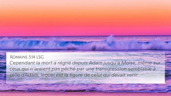 Romains 5:14 LSG Bible Verse Image