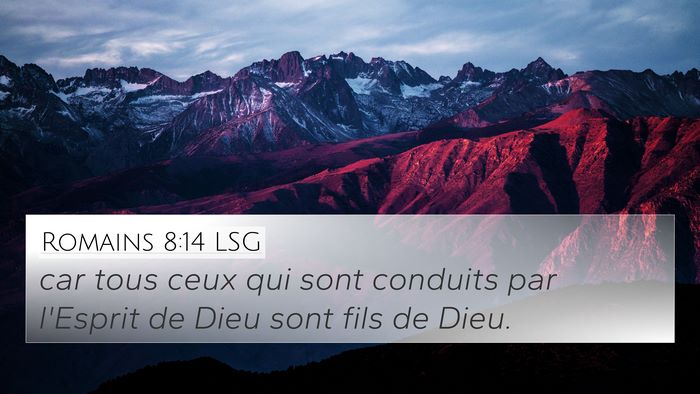 Romains 8:14 LSG Bible Verse Image