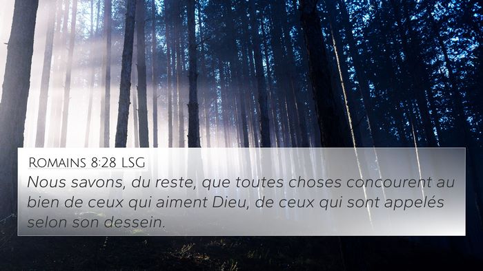 Romains 8:28 LSG Bible Verse Image