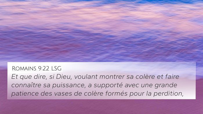 Romains 9:22 LSG Bible Verse Image