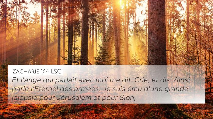 Zacharie 1:14 LSG Bible Verse Image