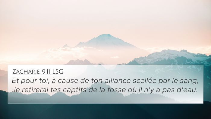 Zacharie 9:11 LSG Bible Verse Image
