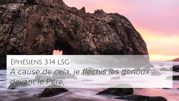Éphésiens 3:14 LSG Bible Verse Image