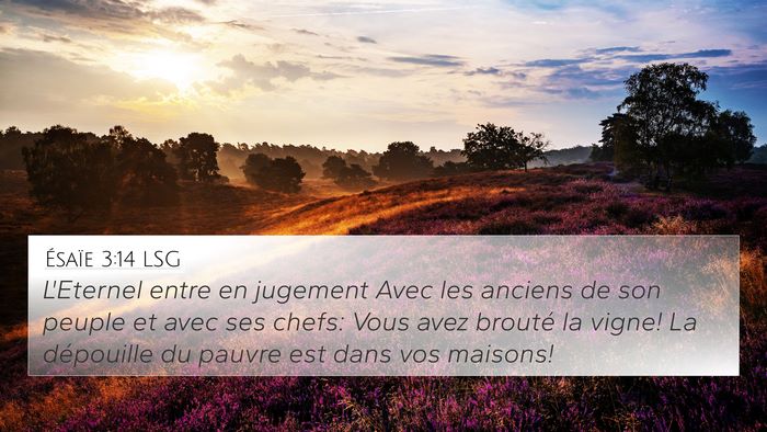 Ésaïe 3:14 LSG Bible Verse Image