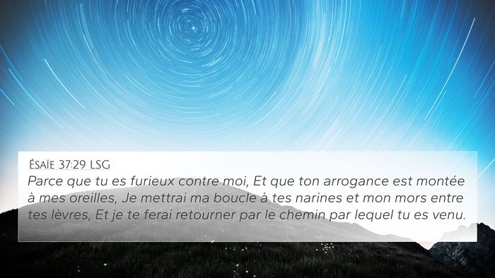 Ésaïe 37:29 LSG Bible Verse Image