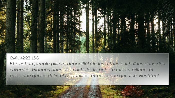 Ésaïe 42:22 LSG Bible Verse Image
