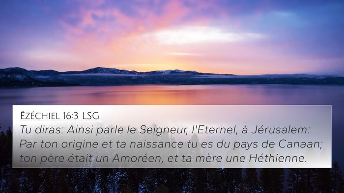 Ézéchiel 16:3 LSG Bible Verse Image