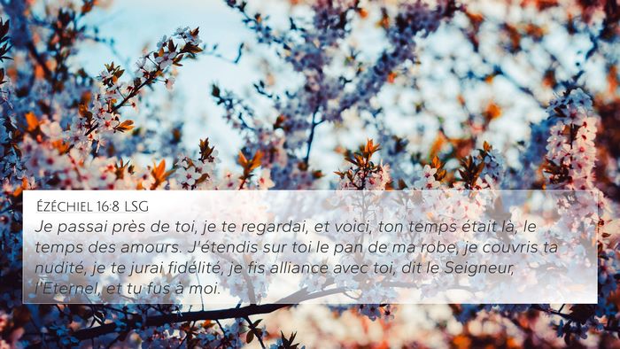 Ézéchiel 16:8 LSG Bible Verse Image