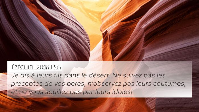 Ézéchiel 20:18 LSG Bible Verse Image
