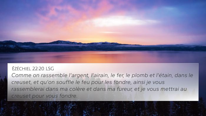 Ézéchiel 22:20 LSG Bible Verse Image