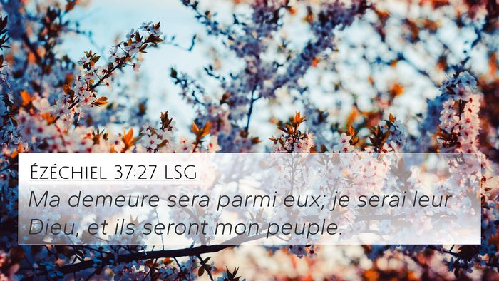 Ézéchiel 37:27 LSG Bible Verse Image